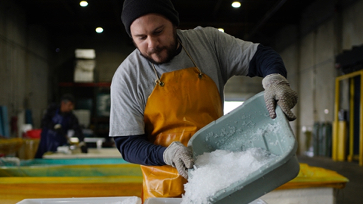 Man working in a fish market, holding a tray of ice