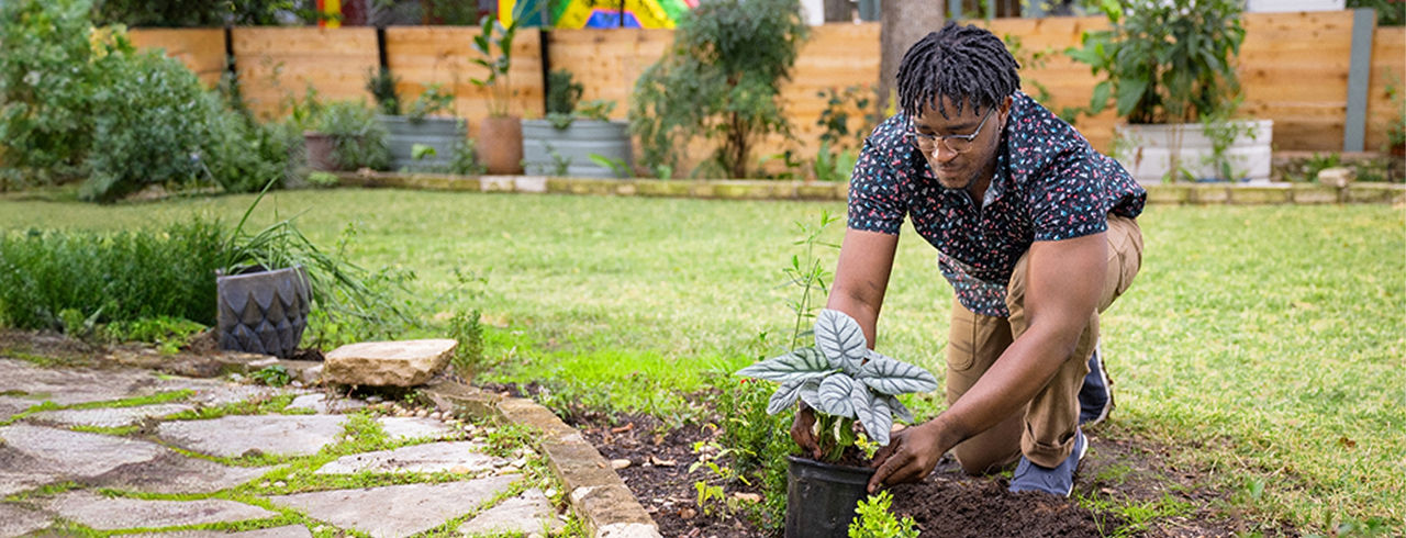 Man planting in a garden